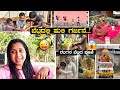 ಗ್ಯಾಸಿಗೂ ಹುಲಿ ಗರ್ಜನೆಗೂ ಏನು ಸಂಬಂಧ ರಂಗ�