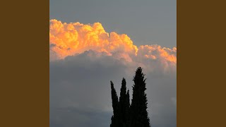 Zeig' mir den Weg