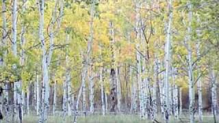 Time Passes Slowly (Bob Dylan) Michael Dallas