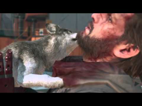 DD 01: Ocelot raising hounds...