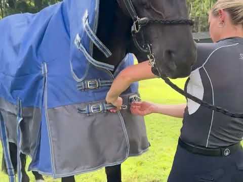 Delzani Waratah Rainsheet Neck Combo video – 600D ripstop outer, sports mesh lining, waterproof turnout highlights