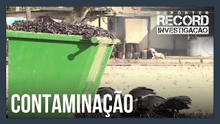 Contaminação ameaça saúde de pescadores e chega até a carne do sururu