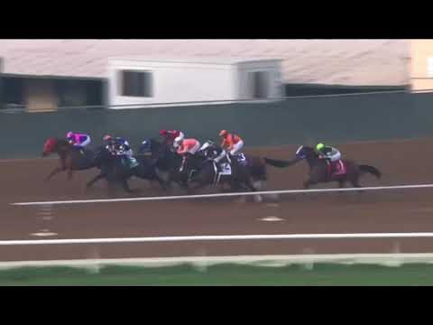 2021 Bing Crosby Stakes (Gr1) | FULL REPLAY | DEL MAR |