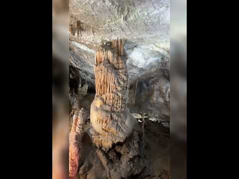 Exploring Postojna Cave: Slovenia's Underground Wonder
