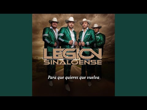 Para que quieres que vuelva