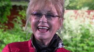 Conny Vink &quot;Het Leven Is Een Schilderij&quot;