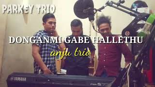 Download lagu DONGAN MI GABE HALLETHU ANJU TRIO COVER PARKEY TRIO mp3