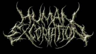 Brutal Death Metal And Goregrind Compilation Part 25