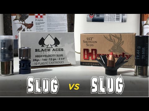 Who Has The Best Slug, Hornady or Black Aces?