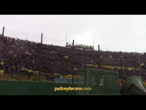 ""La gallina ya no puede decir nada" - Hinchada de Peñarol" Barra: Barra Amsterdam &bull; Club: Peñarol