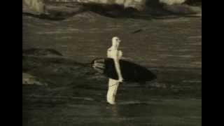 The Go! Team - Her Last Wave