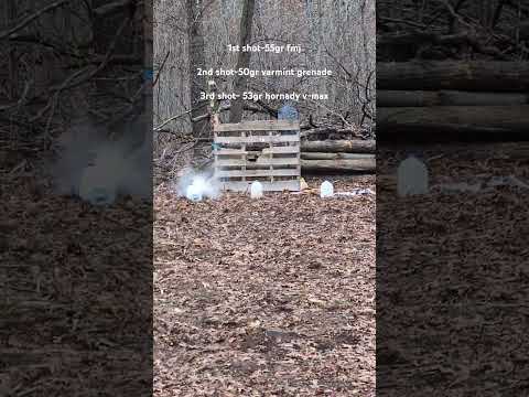 Winchester Ammo 223 Remington 35gr Ballistic Silvertip Supreme Lead Free Per 20 S223RLF Unboxing