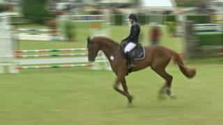 Video di Commander Fox