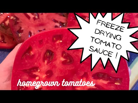 , title : 'Freeze Drying Tomato Sauce'