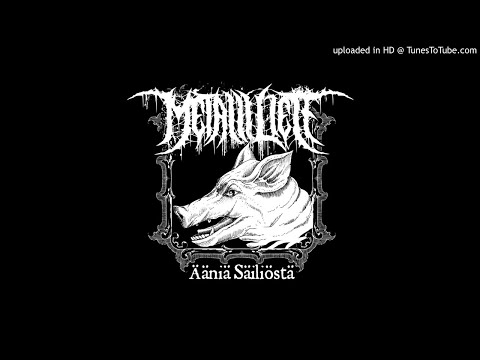 Tyhjyyden Keskellä (MetalliLiete)