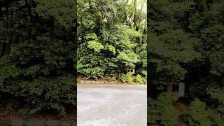 熱田神宮 아츠타신궁 草薙の剣