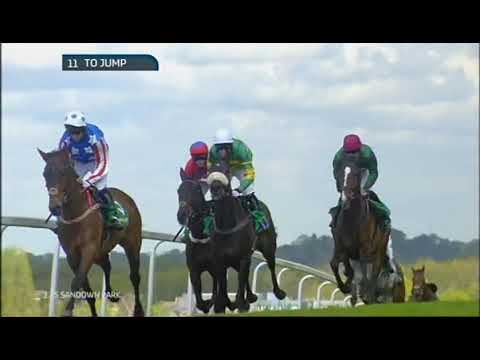 2015 bet365 A P McCoy Celebration Chase