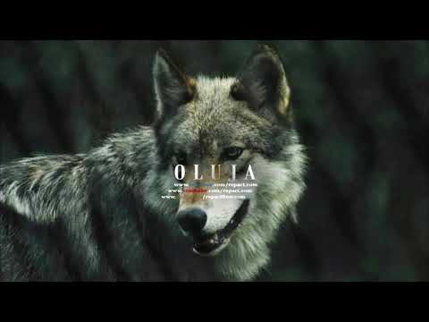 Repact - Oluja (prod. by RimDa)