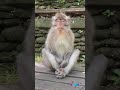 Jab Tere Khayalon Mein Gumsum Ho Jate Hain Mujju 09