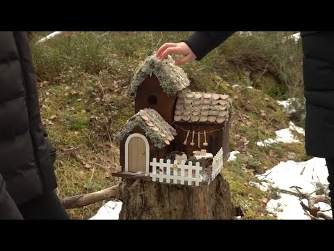 SM i fågelholk: Fantasi och kreativitet hyllas | TV4 Nyheterna | TV4 & TV4 Play