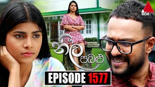 Neela Pabalu (නීල පබළු) | Episode 1577 | 24th July 2024 | Sirasa TV preview image