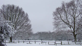 Bert Jansch - Just A Simple Soul
