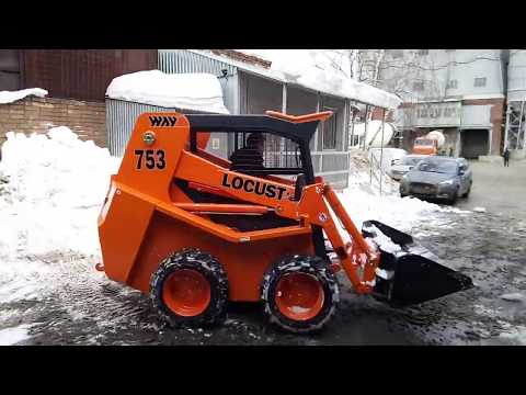 Locust L753 [0]