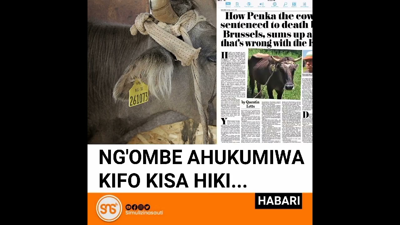 ukistajabu ya Musa utayaona ya firauni...