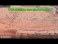Hathi Belagal Project