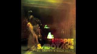 Music video thumbnail preview for Hippie Sabotage - \ by Hippie Sabotage
