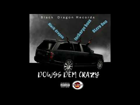 Stero Don, Black Dragon, Incharge Boss - DAWGS DEM CRAZY (Official Audio)