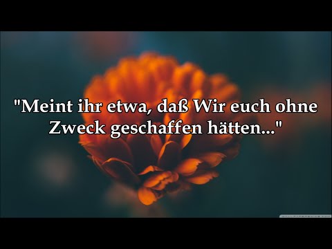 Koran auf deutsch Sura 23 "Die Gläubigen" - Al-Mu'minun | ᴴᴰ