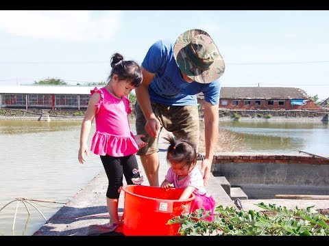 無毒生態混養 八個大男人的好「蝦」事業
