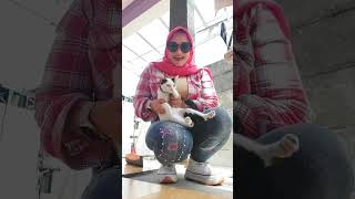 Download lagu nama khoceng aku topokki #gemoy #goyang #dance #duet #seger #beranda #tipsglowing #masukberanda mp3 Download lagu nama khoceng aku topokki #gemoy #goyang #dance #duet #seger #beranda #tipsglowing #masukberanda mp3