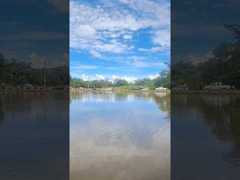 Represa de Bonfinópolis GO - Pescaria Comunitária  Sexta feira Santa #bonfinopolis #Pescaria #goiás