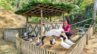 How To Build A Bamboo Duck Coop & Fence Next To River For Off Grid Farm | 90 Mins Movie MQDEFAULT Thumbnail
