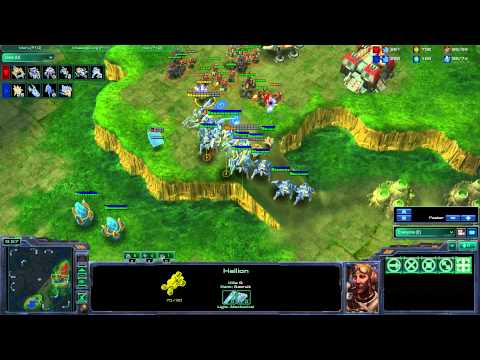 coaching nebbish master TvP