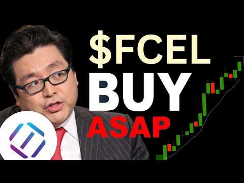 Fcel Ihub