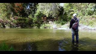 The Search for Fall Steelhead - Day 1
