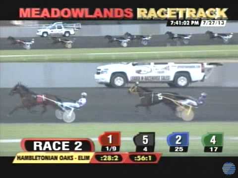 Bee A Magician - 2013 Hambletonian Oaks elimination