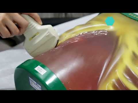 エコー検査を実体験できる！臨床検査技術学科オープンキャンパス