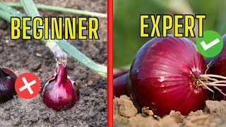 5 Garden Tips You Have NEVER Heard Of… Only the Pros Use These