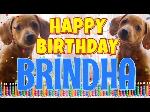 Happy Birthday Brindha! ( Funny Talking Dogs ) What Is Free On My Birthday