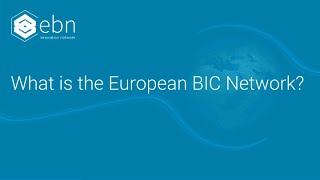 What is the European BIC Network?