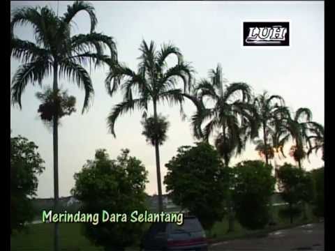 Merindang Dara Selantang - Ganning Hassan