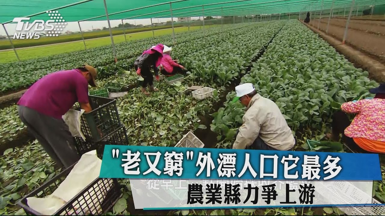 「老又窮」外漂人口它最多　農業縣力爭上游