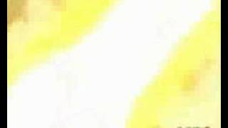 Dragonball - Scars of Life - Mute