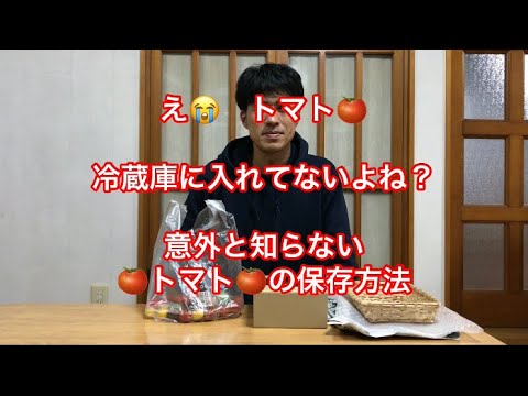 トマトを正しく保存する: 最良のヒント 植物