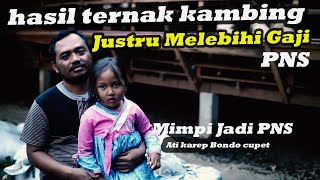 Download lagu GURU HONORER GAGAL JADI PNS JUSTRU SUKSES TERNAK KAMBING mp3 Download lagu GURU HONORER GAGAL JADI PNS JUSTRU SUKSES TERNAK KAMBING mp3