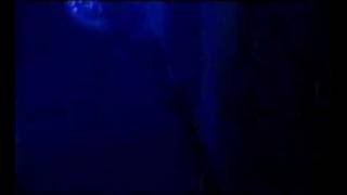 Kalmah - Withering Away